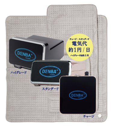 定価54万円 DENBA Health Standard type デンバ ヘルス - 美容、健康