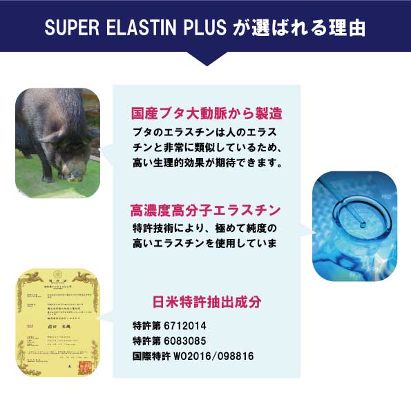 スーパーエラスチンプラスが選ばれる理由