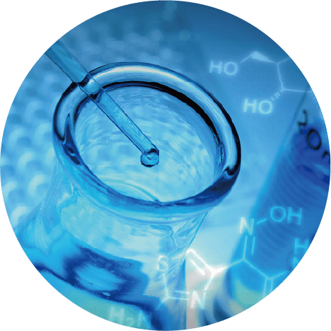 乳酸菌H61(Biomax H61)