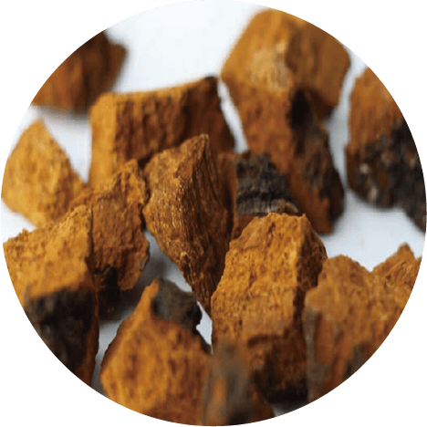 チャーガ(BiomaxG50チャーガ)