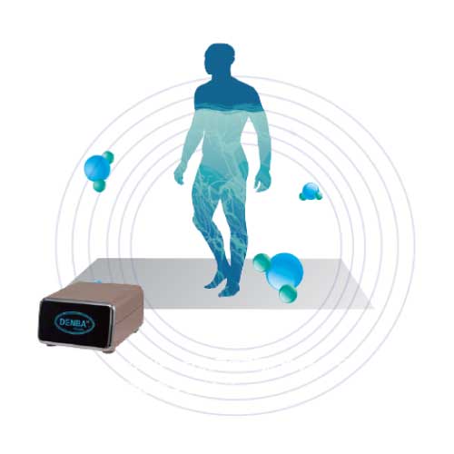 DENBA Health スタンダード | DENBA公式一次販売店