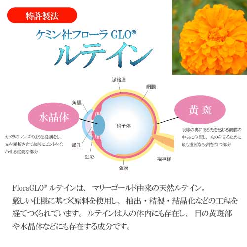 キャッチアイ ミルトのルテイン