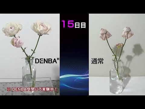 Video 3